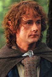 Peregrin Took (Pippin)