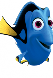 Dory