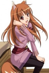 Holo The Wise Wolf