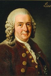 Carl Linnaeus