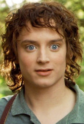 Frodo Baggins