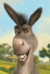 Donkey