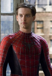 Peter Parker / Spider-Man