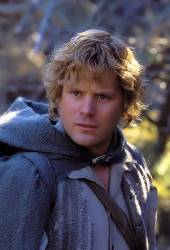 Samwise Gamgee (Sam)