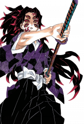 Tsugikuni Michikatsu / Kokushibo