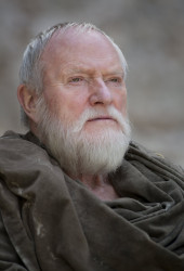 Grand Maester Pycelle