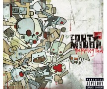 Fort Minor