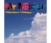 Mr. Mister