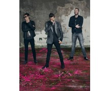 Muse