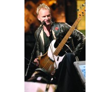 Sting