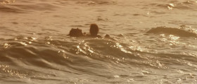 You could almost say the water is crazy because of this hysterical need to only obey her gravity which possessed her like an obsession.