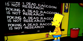 Poking dead raccoons is not research.
