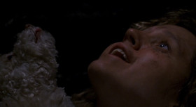 - Don't you make me hurt your dog!
- You don't know what pain is!
