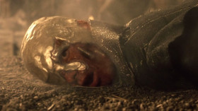 He was no dragon. Fire cannot kill a dragon.