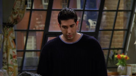 - Hey, Ross? I got a science question. If the Homo sapiens were, in fact, "homo" sapiens... is that why they're extinct?
- Joey, Homo sapiens are people.
- Hey, I'm not judging.