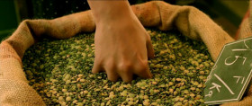 Amelie doesn't have a boyfriend. She tried once or twice, but the results were a let-down. Instead, she cultivates a taste for small pleasures. Plunging her hand deep into a sack of grain. Cracking creme brulee with a teaspoon. And skimming stones on the Canal St. Martin.