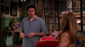 - Excuse me! But this is a purebred, show-quality sphinx cat.
- How much did you pay for that?
- It was extravagant, but I got a good deal.
- How much?
- Thousand bucks.
- On a cat?
- My grandma had one when I was little. It was the sweetest thing. It would sit in my lap and just purr all day long. I would drag a string and it would chase it.
- Free cats do that too, you know.
