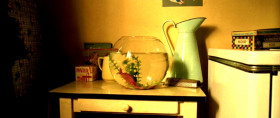 Amelie has one friend, Blubber. Alas, the home environment has made Blubber suicidal.