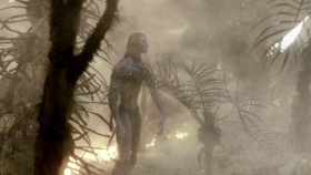 I was a warrior who dreamed he could bring peace. Sooner or later, though, you always have to wake up.