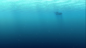 <b>Nemo:</b> - What's that?
<b>Tad:</b> - I know what that is. Sandy Plankton saw one. He said it was called a butt.
<b>Pearl:</b> - Wow. That's a pretty big butt.