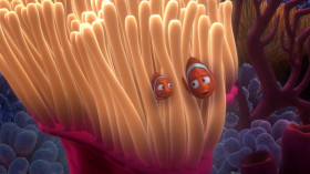 - What do we have to remember about the ocean?
- It's not safe.
