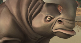 Hey, you rhinos, you know, you have really tiny brains. Did you know that? No, it's just a fact. No offense.