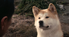 But if Hachiko wants to wait, then Hachiko should wait.