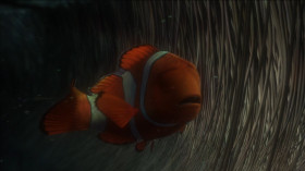 I have to find my son. I have to tell him how old sea turtles are!