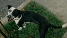 Oh, you're done now. Great. B-E-A-utiful. Come on. Let's go back inside and have a shit.