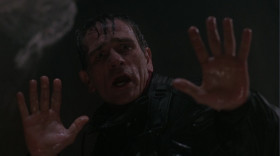 - I didn't kill my wife!
- I don't care!