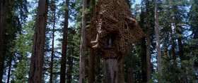 Nice work. Great, Chewie. Great. Always thinking with your stomach.