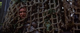 Nice work. Great, Chewie. Great. Always thinking with your stomach.