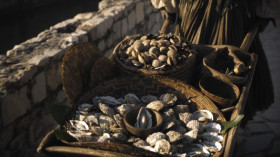 - Oysters, clams, and cockles. Oysters, clams, and cockles. Oysters, clams, and cockles. Oysters, clams, and...
- How much for your little clam?