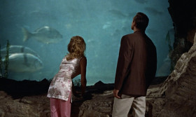 - One million dollars, Mr. Bond. You were wondering what it cost.
- As a matter of fact, I was.
- Forgive my not shaking hands. It becomes a bit awkward with these. A misfortune. You were admiring my aquarium.
- Yes. It's quite impressive.
- A unique feat of engineering, if I may say so. I designed it myself. The glass is convex, 10 inches thick, which accounts for the magnifying effect. Minnows pretending they're whales.
- Just like you on this island, Dr. No.
- It depends, Mr. Bond, on which side of the glass you are.