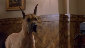 - He's a horny bastard, isn't he?
- I wouldn't know. I just met him.
- I was talking about the dog.