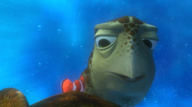 - Oh, my stomach.
- No hurling on the shell, okay? Just waxed it.