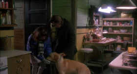 Good Dog. What's Her Name? I Don't Know. He Never Told Me.