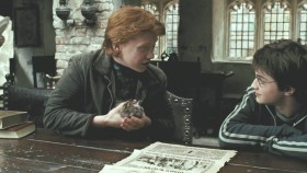 - Egypt! Whats it like?
- Brilliant, Loads of old stuff, Like Mummies, Tombs... Even Scrabers enjoyed himself. <...>
- Not flashing that clipping again, Are you Ron?
- I haven't shown anyone!
- No, not a soul! Just Tom. The day maid. The night maid. The cook. That bloke who came to fix the toilet. And that wizard from Belgium!