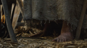 - Why no shoes?
- Because I gave them away to someone who needed them more.We all do that. It stops us from forgetting what we really are.