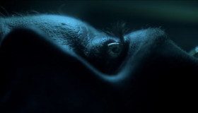 Everything is backwards now. Like out there is the true world and in here is the dream.