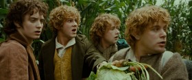I don't know why he's so upset. It's only a couple of carrots and some cabbages. And then those empty bags of potatoes we left in last week, and then, the mushrooms, the week before! Yes, Pippin, my point is, he's clearly over reacting!
