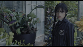 Bianca: I see you finally made a friend. Even if it is a plant.
Wednesday: I go for quality over quantity.