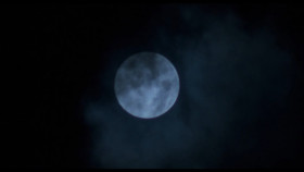Here we are again, bro, just you and me. Same kind of moon and same kind of jungle. Real number 10 night, remember? Whole platoon, 32 men chopped into meat, and we walk out, just you and me. Nobody else. Right on top, bro. Not a scratch. Not a fucking scratch. You know, whoever got you, he'll come back again, and when he does, I'm gonna cut your name right into him. I'm gonna cut your name into him.