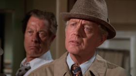 - What kind of plane is it?
- Oh, it's a big, pretty white plane with red stripes, curtains in the window, and wheels, and it looks like a big Tylenol.