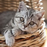 Marichka's user picture