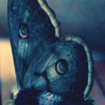 Natashik's user picture