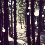 Shvankmayerova's user picture
