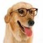 AngelLand's user picture