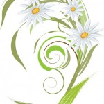 Just a Daisy's user picture