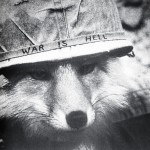 Shuldig's user picture